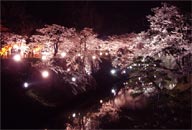 ������C�g�A�b�v